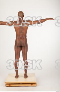 Body texture of Virgil 0055